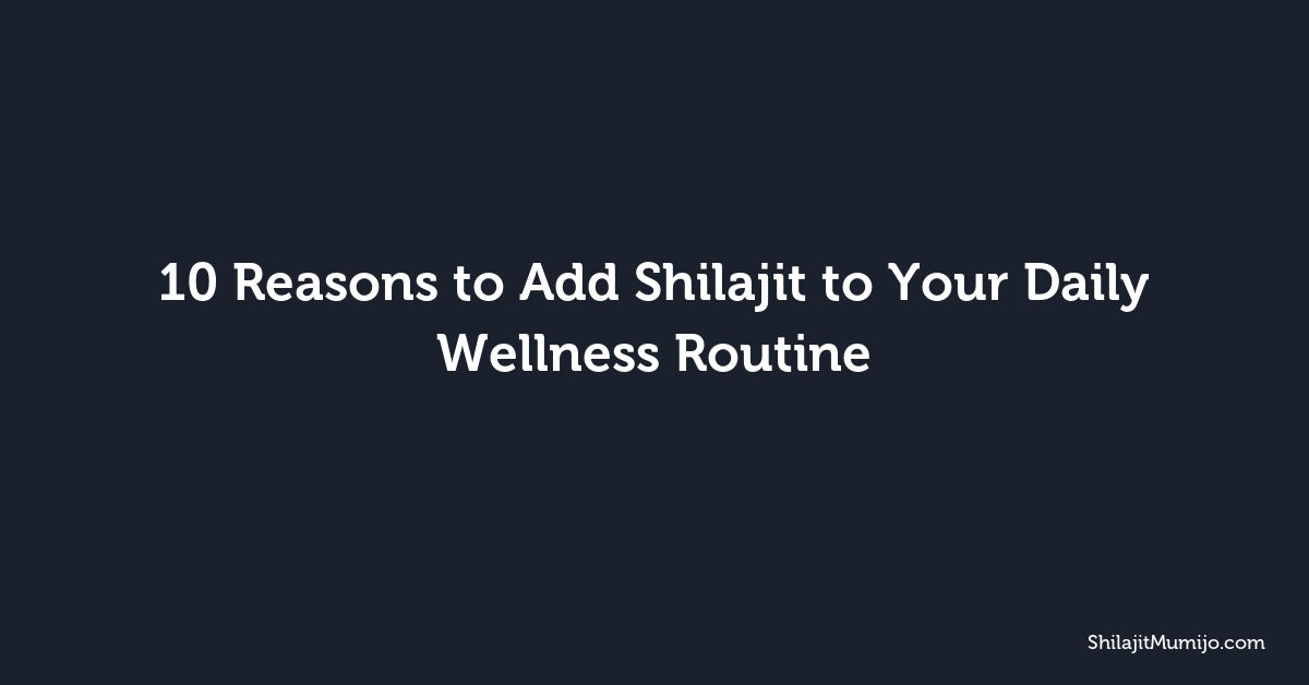 10 Reasons to Add Shilajit to Your Daily Wellness Routine