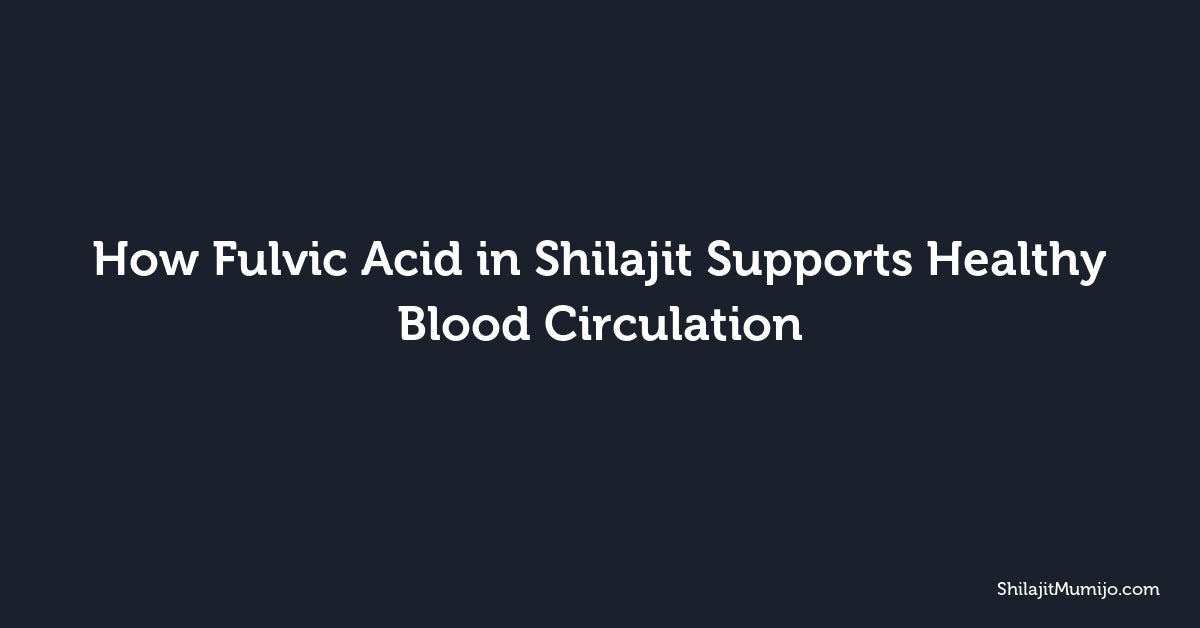 How Fulvic Acid in Shilajit Supports Healthy Blood Circulation