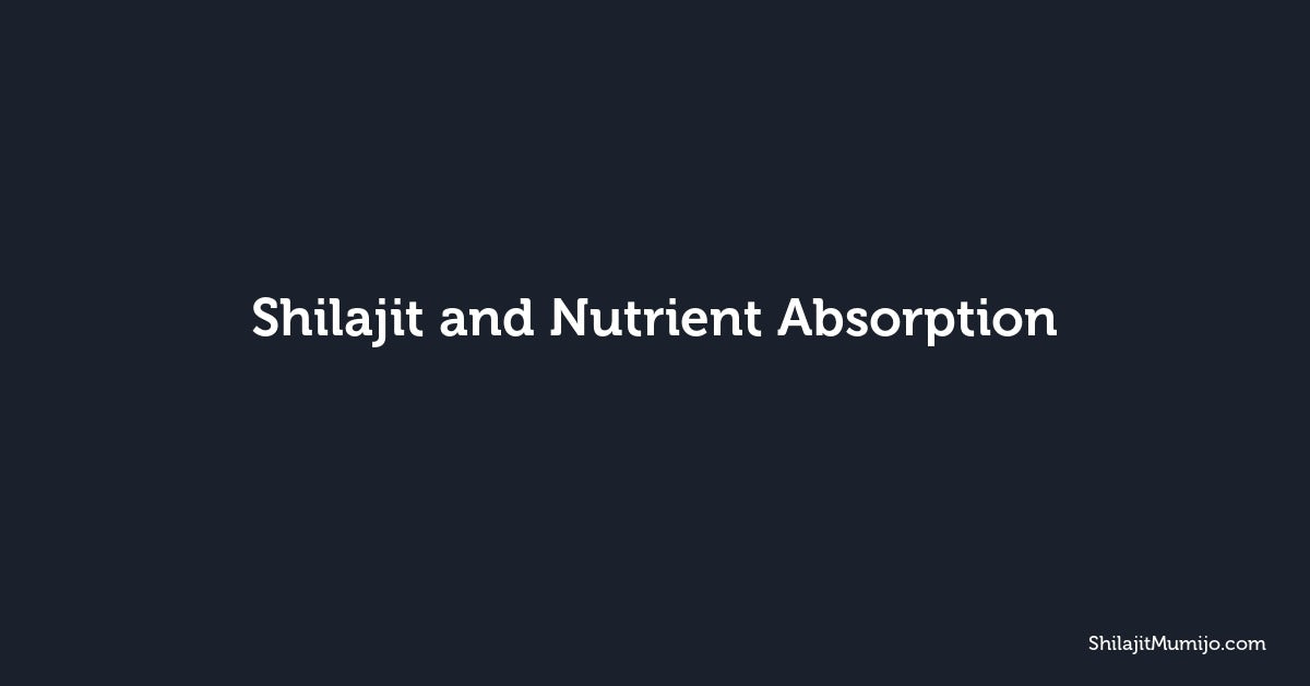 Shilajit and Nutrient Absorption: Why Fulvic Acid Matters
