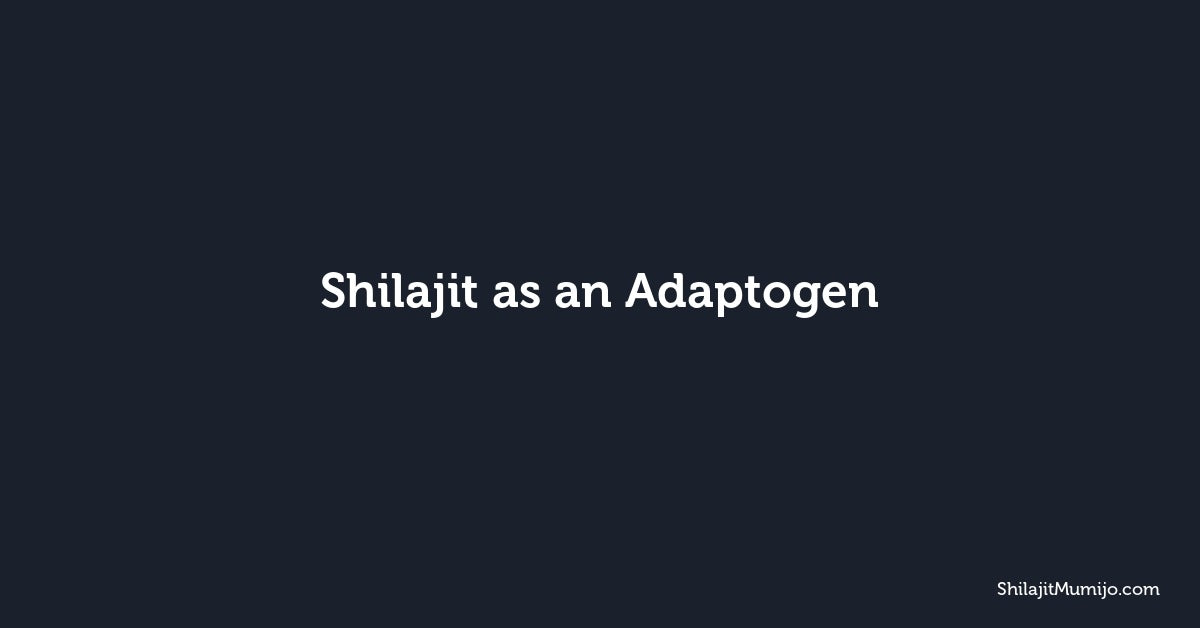 Shilajit as an Adaptogen: How It Supports Your Nervous System