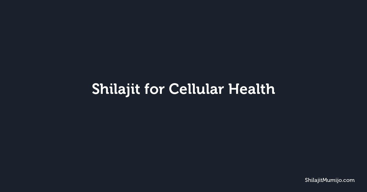 Shilajit for Cellular Health: Fulvic Acid and Cell Regeneration
