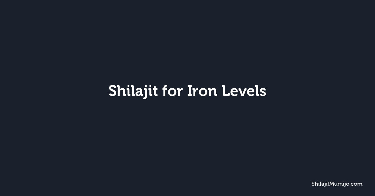 Shilajit for Iron Levels: Natural Mineral Support for Energy