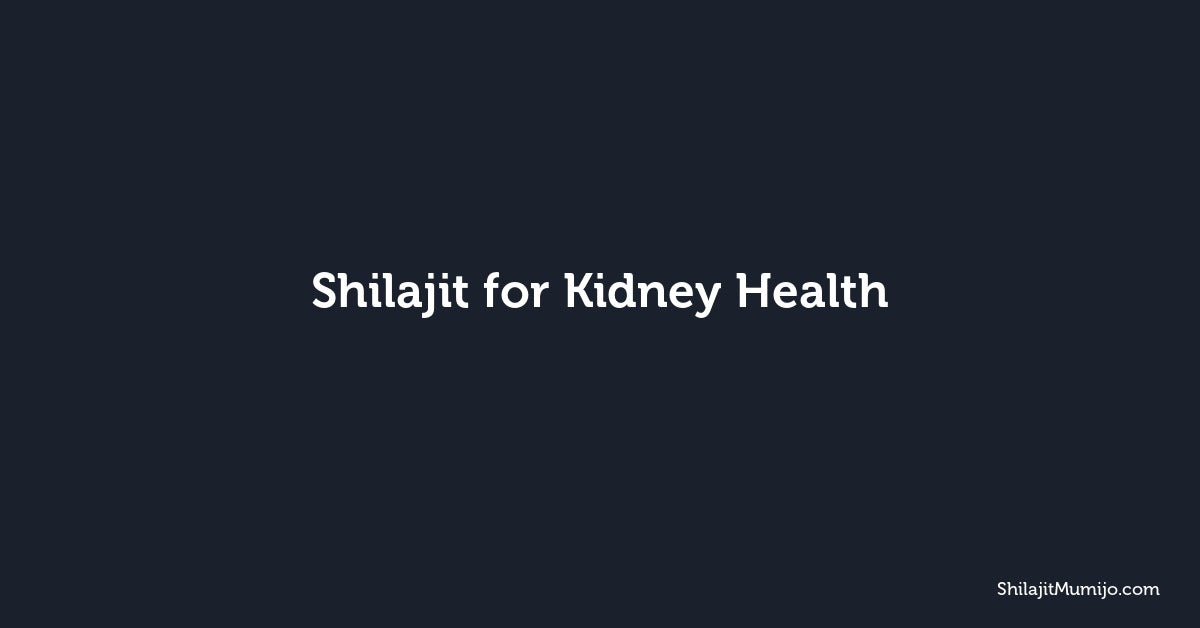 Shilajit for Kidney Health: Mineral Support for Renal Wellness