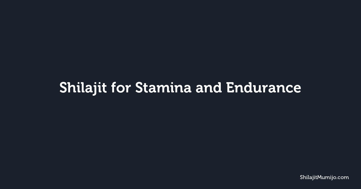 Shilajit for Stamina and Endurance: Energy Support for Active Men