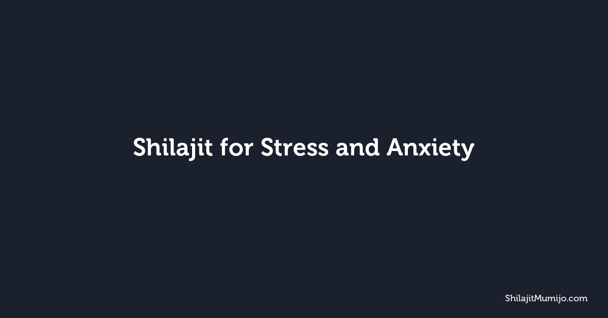 Shilajit for Stress and Anxiety: Adaptogenic Mineral Support